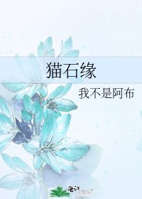 猫石缘